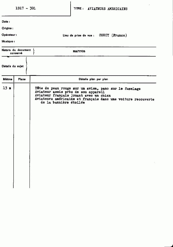 1917 301