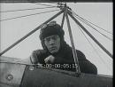vignette