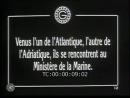 vignette