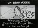 vignette